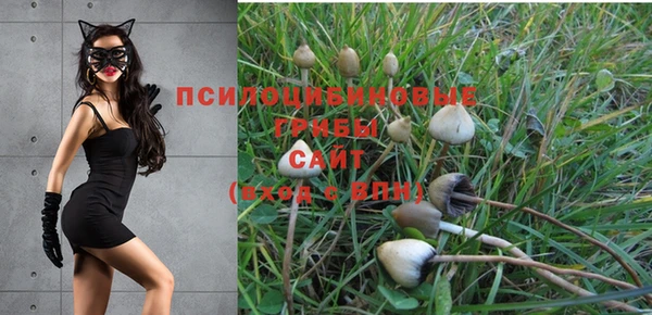 mdpv Горняк